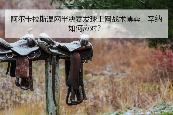 a-er-ka-la-si-wen-wang-ban-jue-sai-fa-qiu-shang-wang-zhan-shu-bo-yi-xin-na-ru-he-ying-dui-2-340.jpg